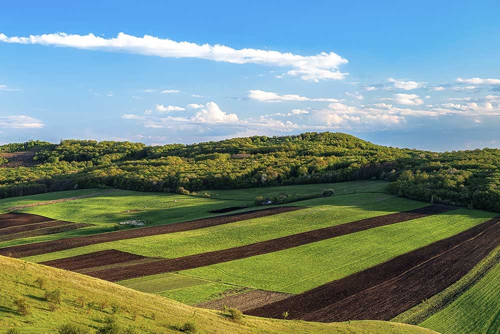 industries-agriculture-002